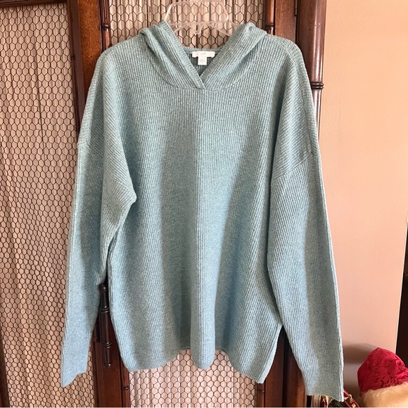 J. Jill Hooded Sweater - Picture 1 of 5